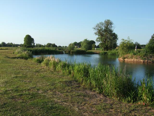 DSCF0710.JPG