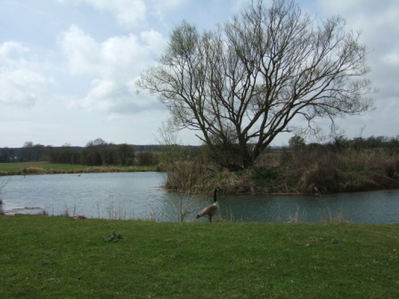 DSCF0804.jpg