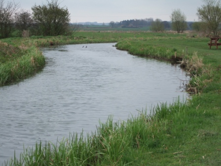 DSCF0816.jpg