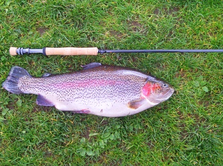 East_Lindsey-20120411-00113.jpg